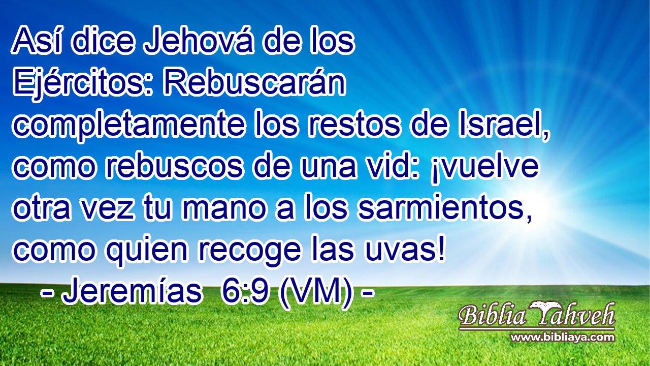  Así dice Jehová de los Ejércitos: Rebuscarán completamente los restos de Israel, como rebuscos de una vid: ¡vuelve otra vez tu mano a los sarmientos, como quien recoge las uvas! 