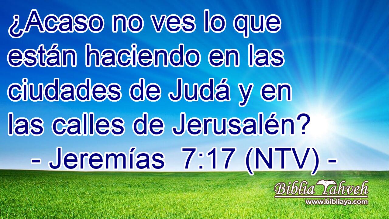 ¿Acaso no ves lo que están haciendo en las ciudades de Judá y en las calles de Jerusalén?