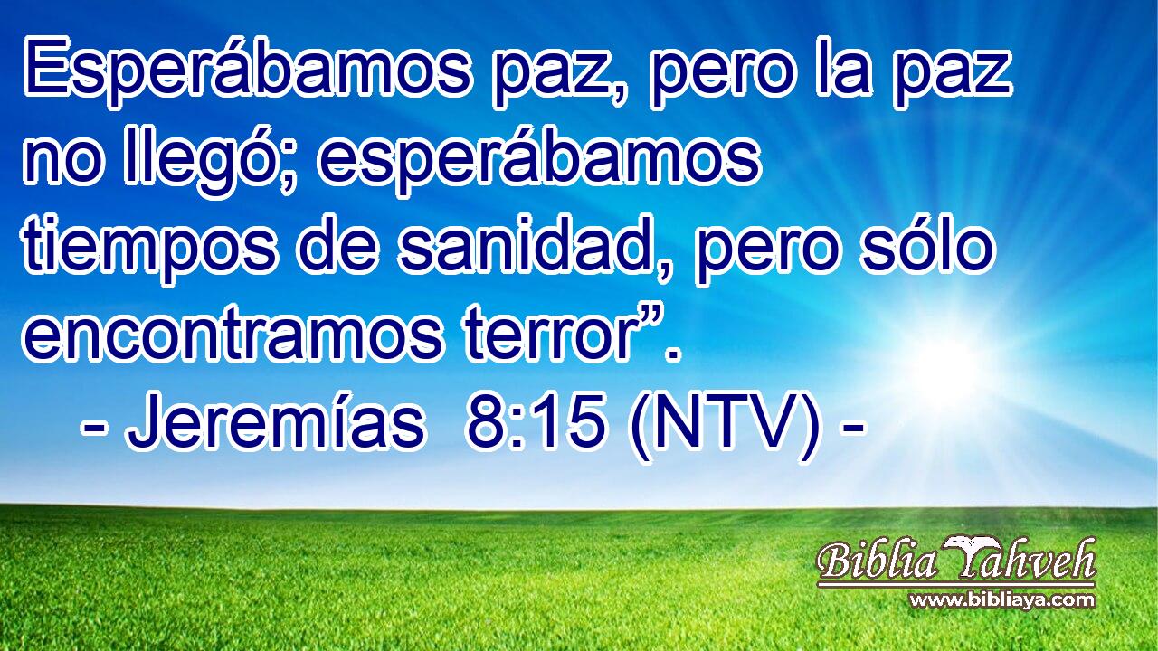 Esperábamos paz, pero la paz no llegó; esperábamos tiempos de sanidad, pero sólo encontramos terror”.