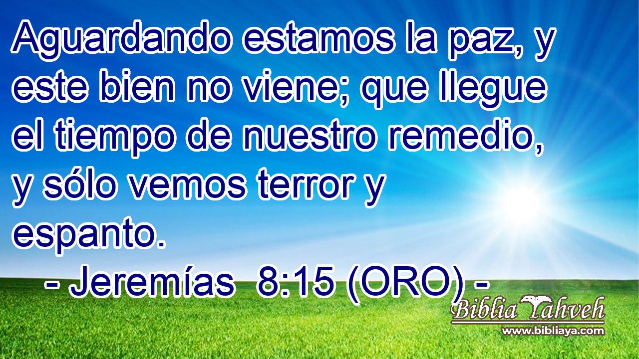  Aguardando estamos la paz, y este bien no viene; que llegue el tiempo de nuestro remedio, y sólo vemos terror y espanto. 