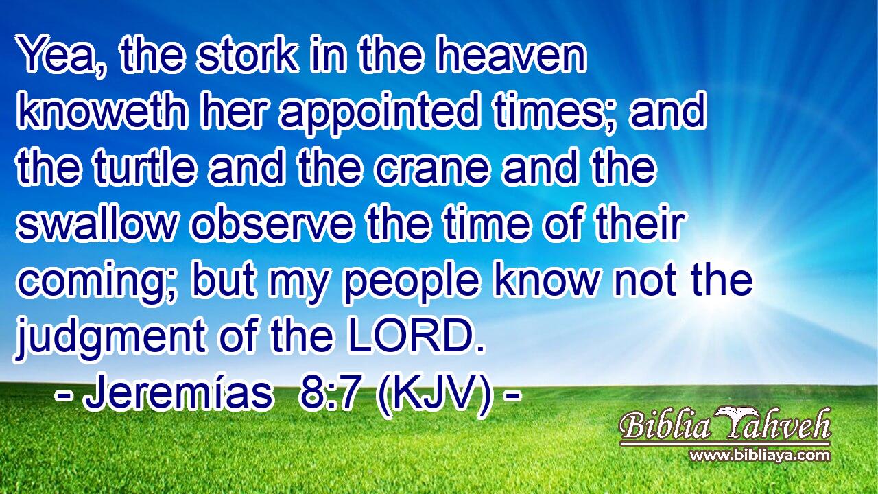 Yea, the stork in the heaven knoweth her appointed times; and the turtle and the crane and the swallow observe the time of their coming; but my people know not the judgment of the LORD.