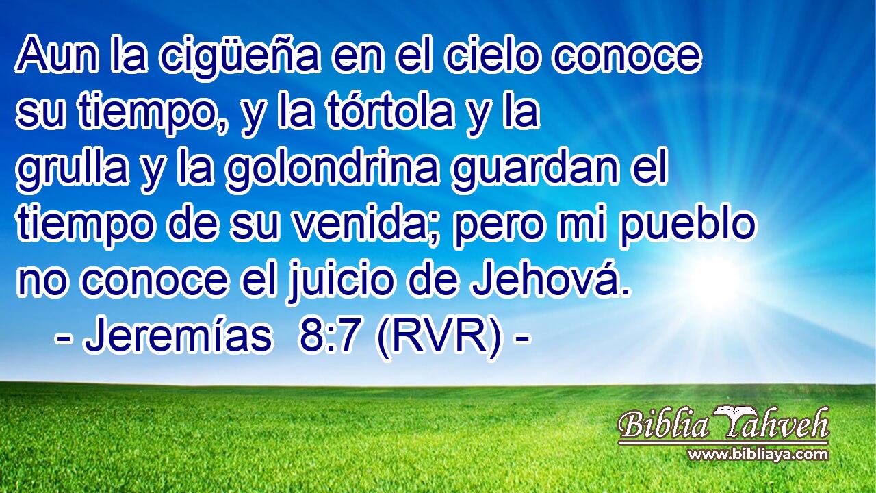 Aun la cigüeña en el cielo conoce su tiempo, y la tórtola y la grulla y la golondrina guardan el tiempo de su venida; pero mi pueblo no conoce el juicio de Jehová.