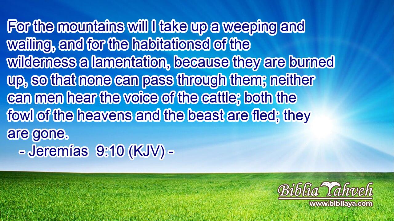 For the mountains will I take up a weeping and wailing, and for the habitationsd of the wilderness a lamentation, because they are burned up, so that none can pass through them; neither can men hear the voice of the cattle; both the fowl of the heavens and the beast are fled; they are gone.