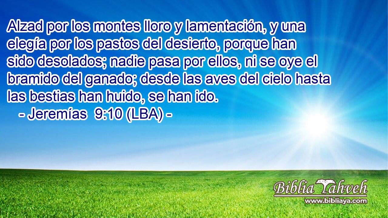 Alzad por los montes lloro y lamentación, y una elegía por los pastos del desierto, porque han sido desolados; nadie pasa por ellos, ni se oye el bramido del ganado; desde las aves del cielo hasta las bestias han huido, se han ido.