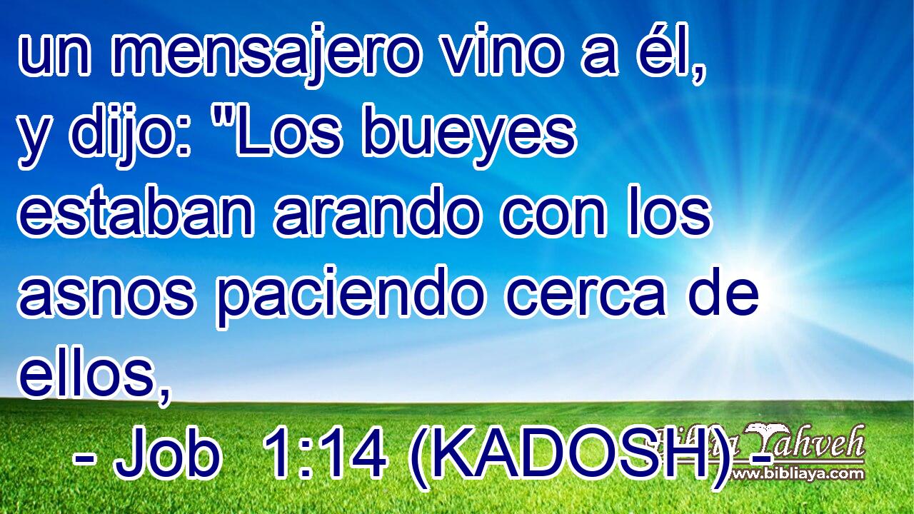  un mensajero vino a él, y dijo: 