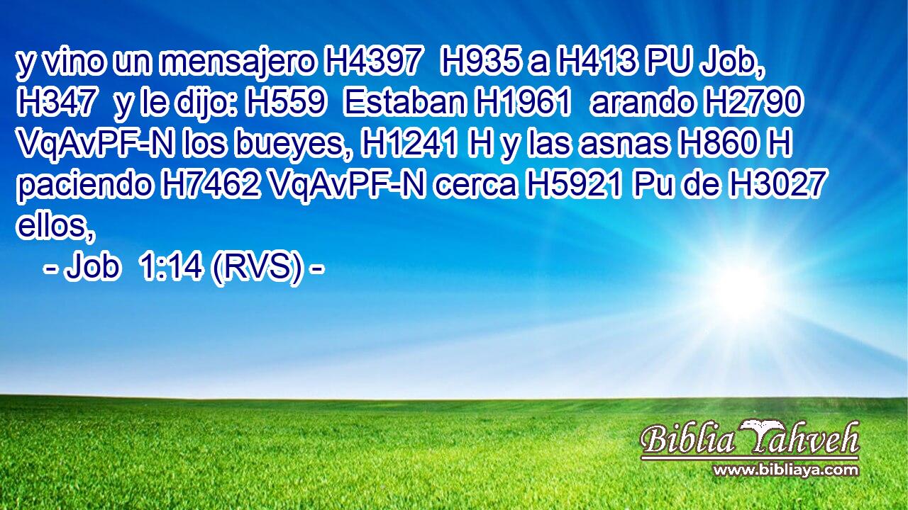 y vino un mensajero H4397  H935 a H413 PU Job, H347  y le dijo: H559  Estaban H1961  arando H2790 VqAvPF-N los bueyes, H1241 H y las asnas H860 H paciendo H7462 VqAvPF-N cerca H5921 Pu de H3027  ellos, 