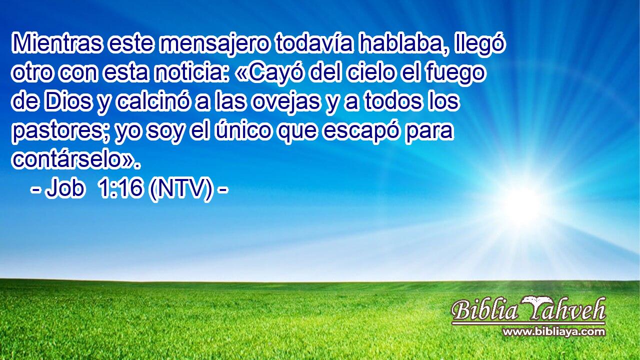 Mientras este mensajero todavía hablaba, llegó otro con esta noticia: «Cayó del cielo el fuego de Dios y calcinó a las ovejas y a todos los pastores; yo soy el único que escapó para contárselo».