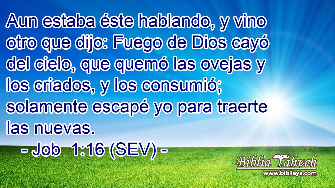 Aun estaba éste hablando, y vino otro que dijo: Fuego de Dios cayó del cielo, que quemó las ovejas y los criados, y los consumió; solamente escapé yo para traerte las nuevas.