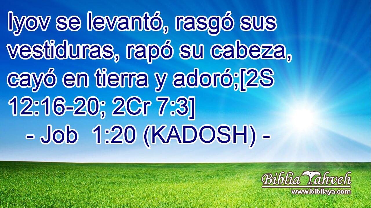  Iyov se levantó, rasgó sus vestiduras, rapó su cabeza, cayó en tierra y adoró;[2S 12:16-20; 2Cr 7:3] 