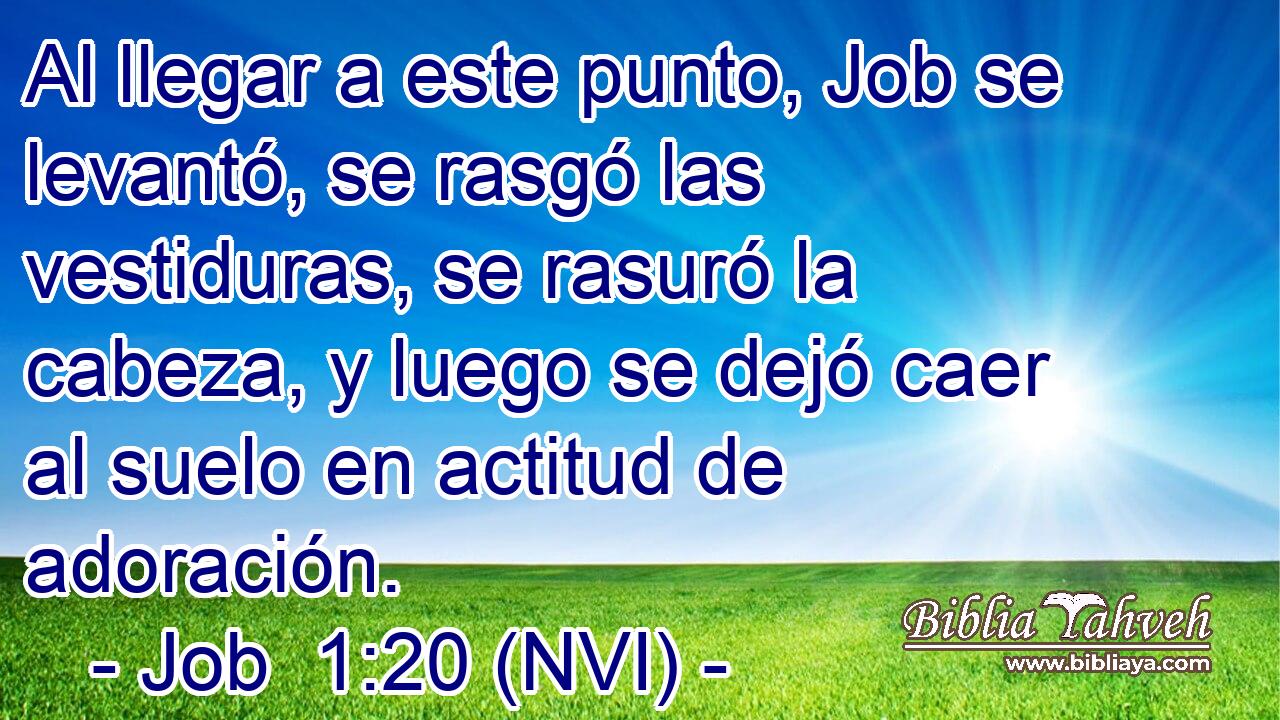 Al llegar a este punto, Job se levantó, se rasgó las vestiduras, se rasuró la cabeza, y luego se dejó caer al suelo en actitud de adoración. 