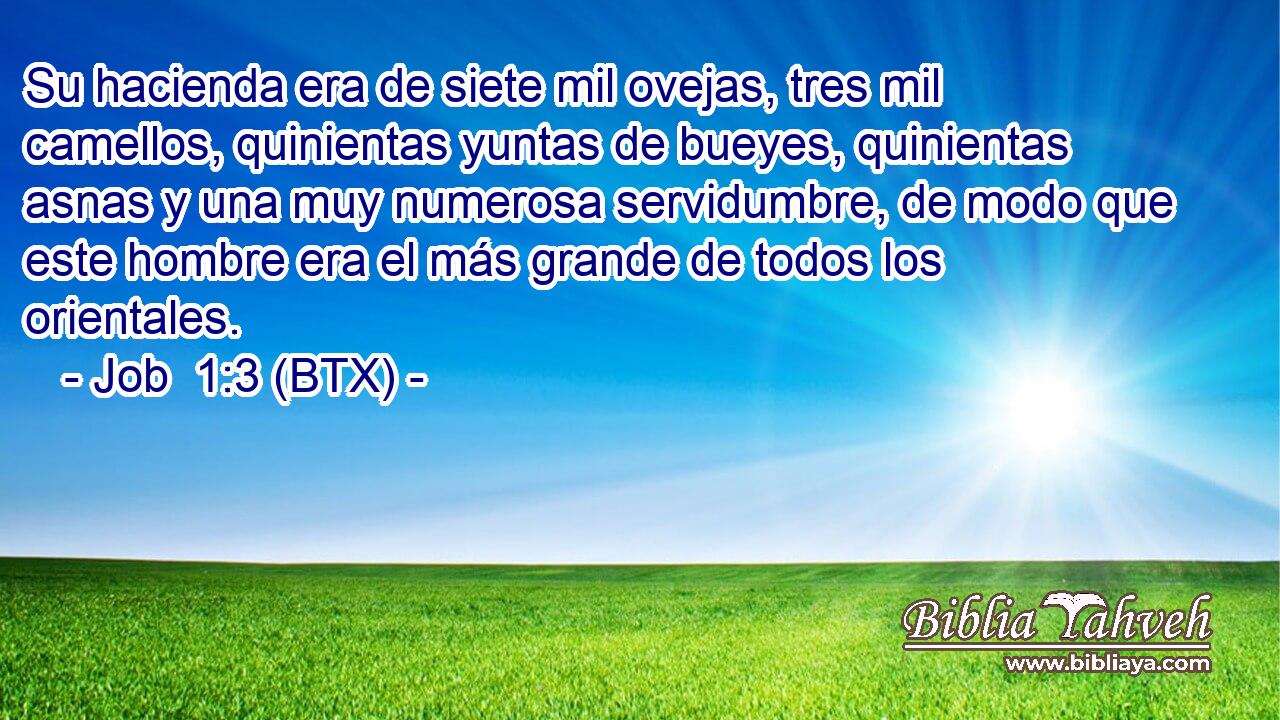 Su hacienda era de siete mil ovejas, tres mil camellos, quinientas yuntas de bueyes, quinientas asnas y una muy numerosa servidumbre, de modo que este hombre era el más grande de todos los orientales.