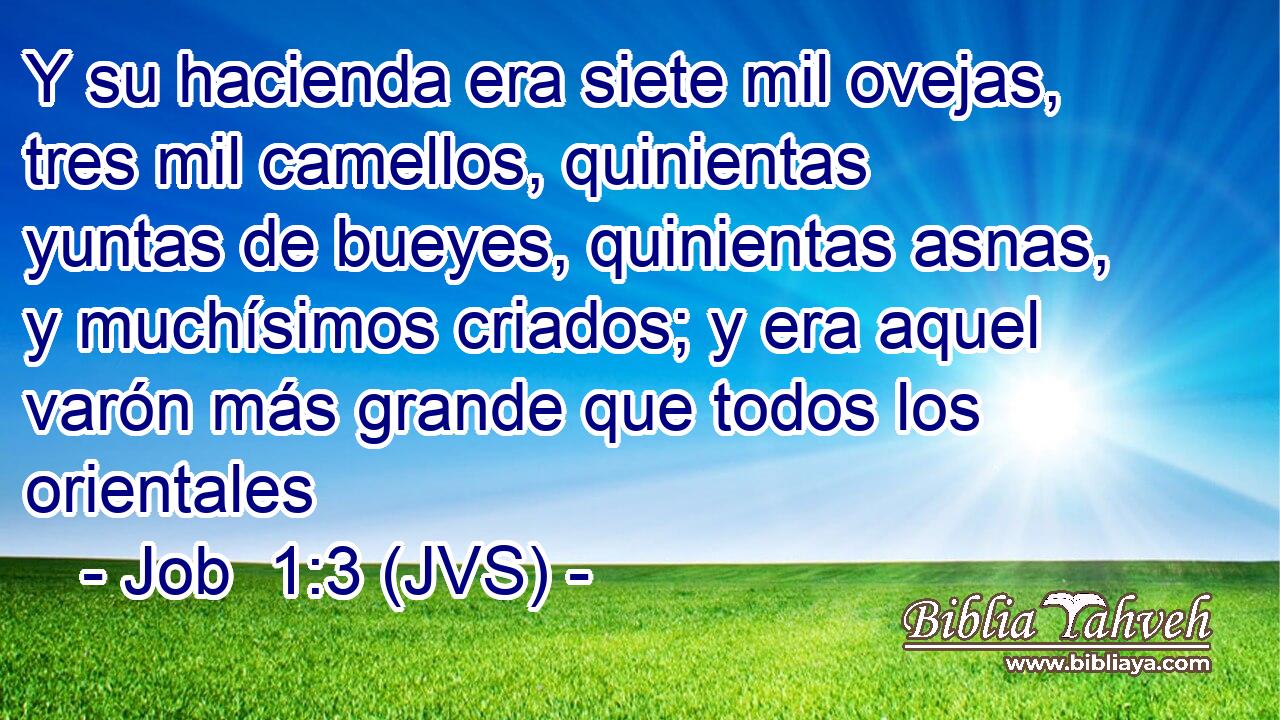 Y su hacienda era siete mil ovejas, tres mil camellos, quinientas yuntas de bueyes, quinientas asnas, y muchísimos criados; y era aquel varón más grande que todos los orientales