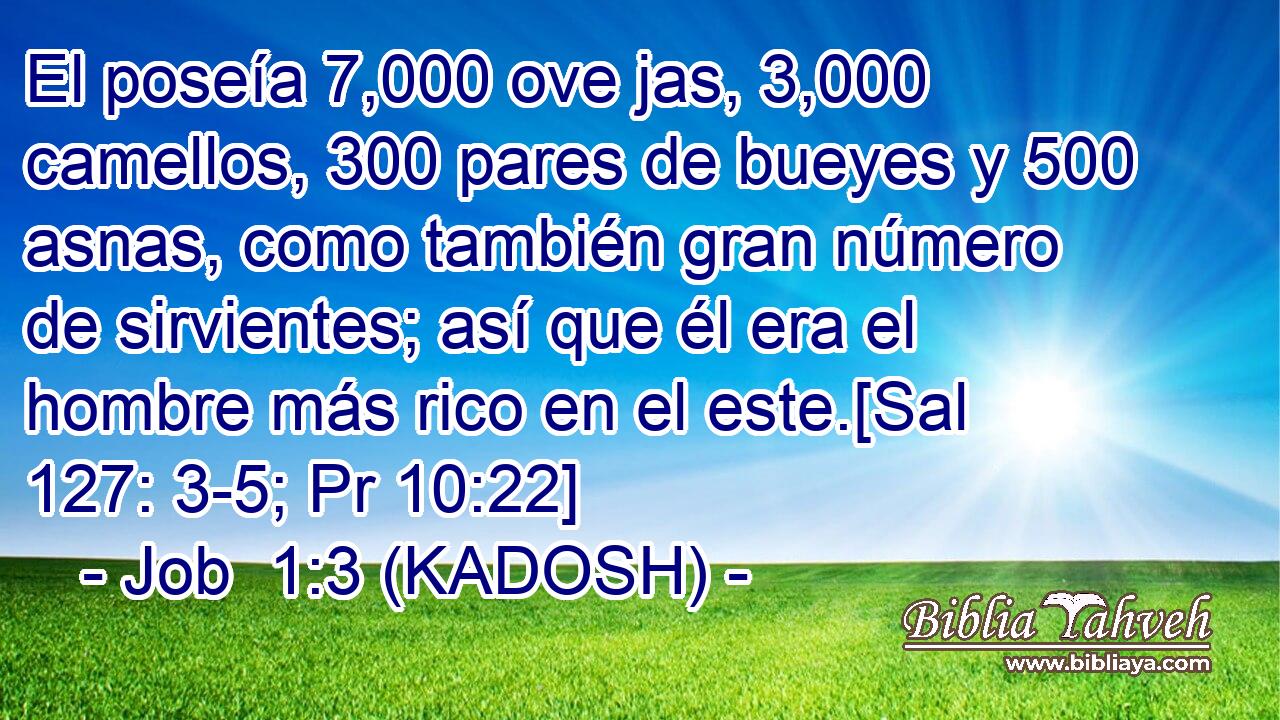  El poseía 7,000 ove jas, 3,000 camellos, 300 pares de bueyes y 500 asnas, como también gran número de sirvientes; así que él era el hombre más rico en el este.[Sal 127: 3-5; Pr 10:22] 