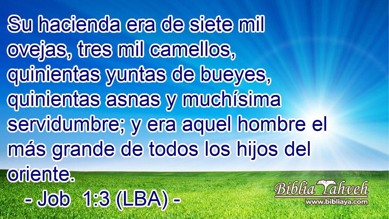 Su hacienda era de siete mil ovejas, tres mil camellos, quinientas yuntas de bueyes, quinientas asnas y muchísima servidumbre; y era aquel hombre el más grande de todos los hijos del oriente.