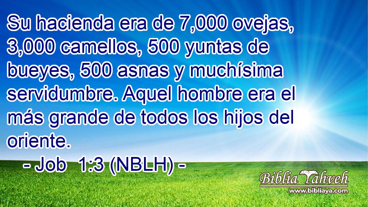 Su hacienda era de 7,000 ovejas, 3,000 camellos, 500 yuntas de bueyes, 500 asnas y muchísima servidumbre. Aquel hombre era el más grande de todos los hijos del oriente. 