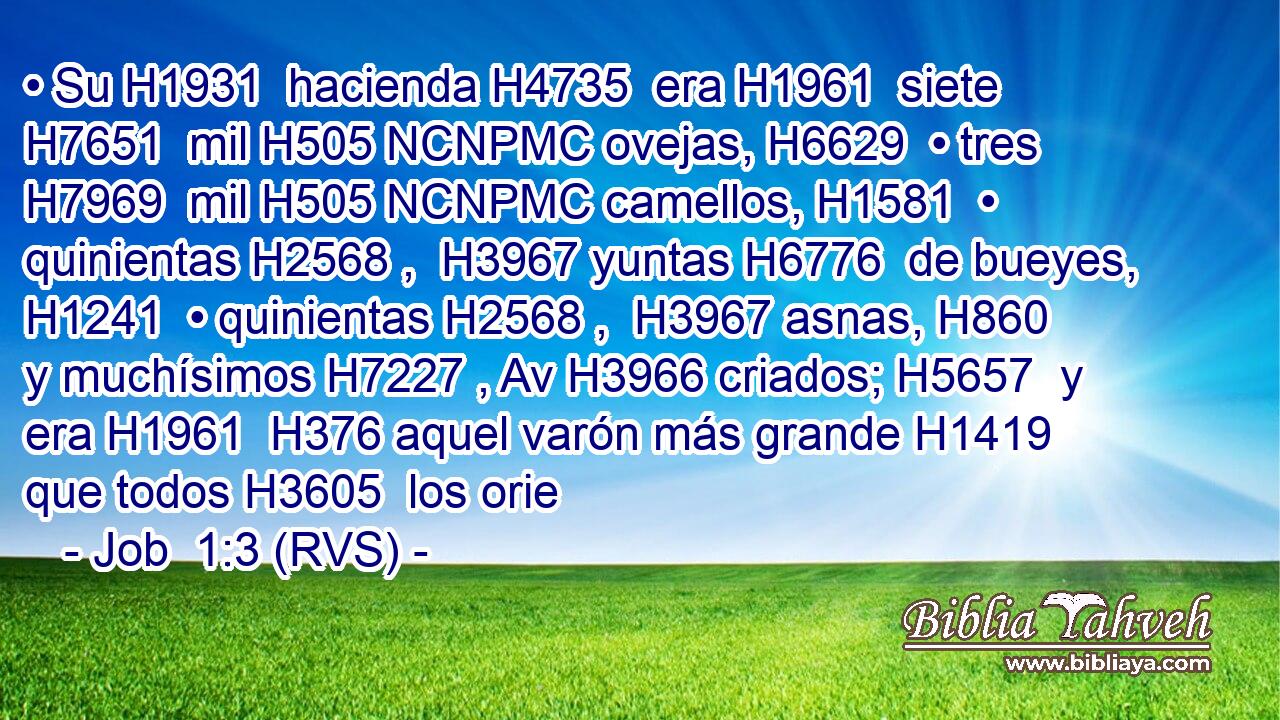 • Su H1931  hacienda H4735  era H1961  siete H7651  mil H505 NCNPMC ovejas, H6629  • tres H7969  mil H505 NCNPMC camellos, H1581  • quinientas H2568 ,  H3967 yuntas H6776  de bueyes, H1241  • quinientas H2568 ,  H3967 asnas, H860  y muchísimos H7227 , Av H3966 criados; H5657  y era H1961  H376 aquel varón más grande H1419  que todos H3605  los orie