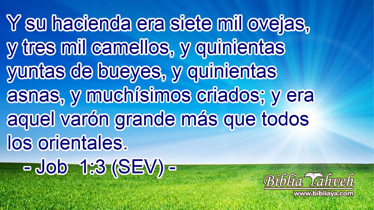 Y su hacienda era siete mil ovejas, y tres mil camellos, y quinientas yuntas de bueyes, y quinientas asnas, y muchísimos criados; y era aquel varón grande más que todos los orientales.