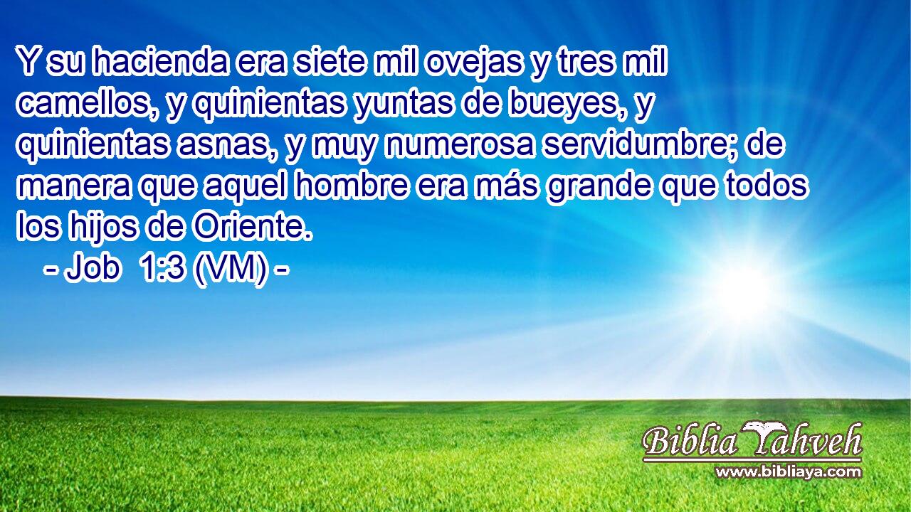  Y su hacienda era siete mil ovejas y tres mil camellos, y quinientas yuntas de bueyes, y quinientas asnas, y muy numerosa servidumbre; de manera que aquel hombre era más grande que todos los hijos de Oriente. 