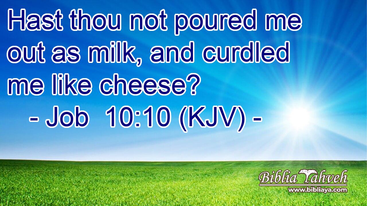 Hast thou not poured me out as milk, and curdled me like cheese?