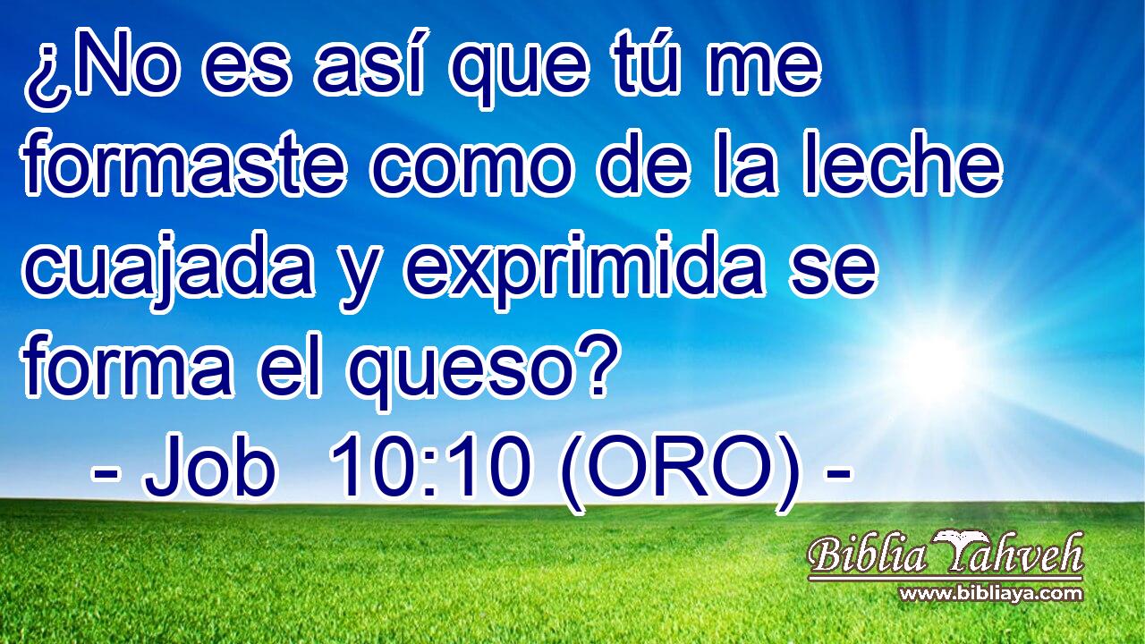 ¿No es así que tú me formaste como de la leche cuajada y exprimida se forma el queso? 