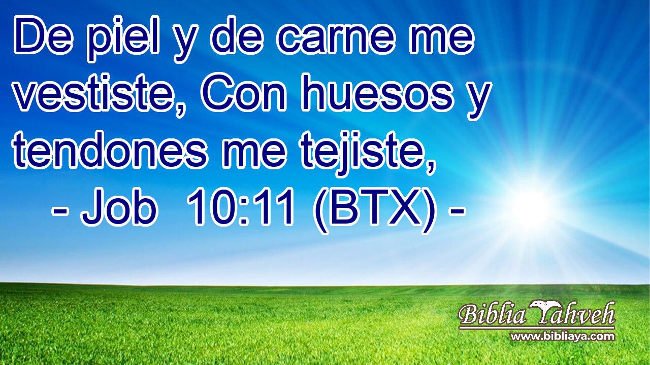 De piel y de carne me vestiste, Con huesos y tendones me tejiste,