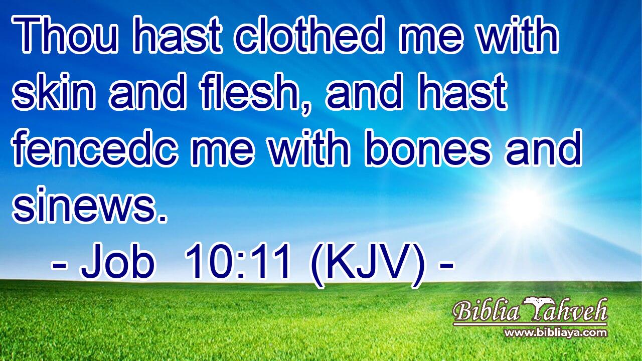 Thou hast clothed me with skin and flesh, and hast fencedc me with bones and sinews.