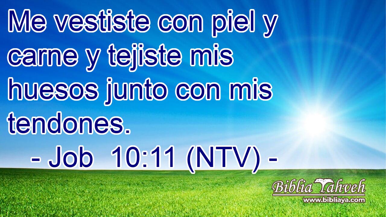 Me vestiste con piel y carne y tejiste mis huesos junto con mis tendones.