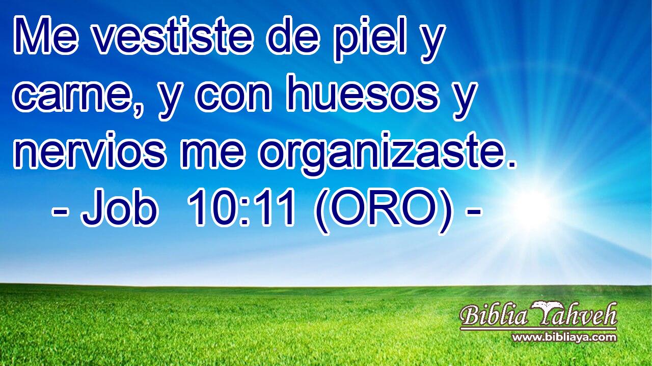  Me vestiste de piel y carne, y con huesos y nervios me organizaste. 