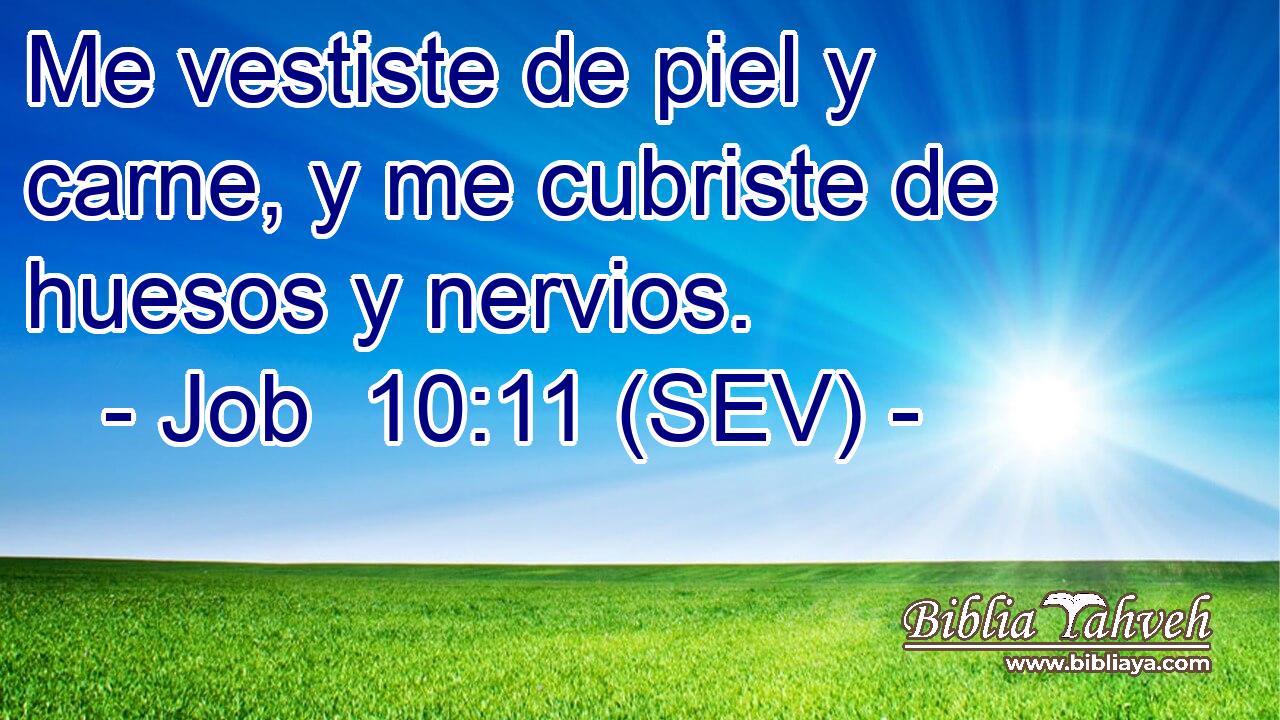 Me vestiste de piel y carne, y me cubriste de huesos y nervios.