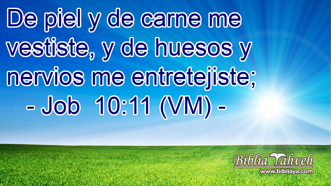  De piel y de carne me vestiste, y de huesos y nervios me entretejiste; 