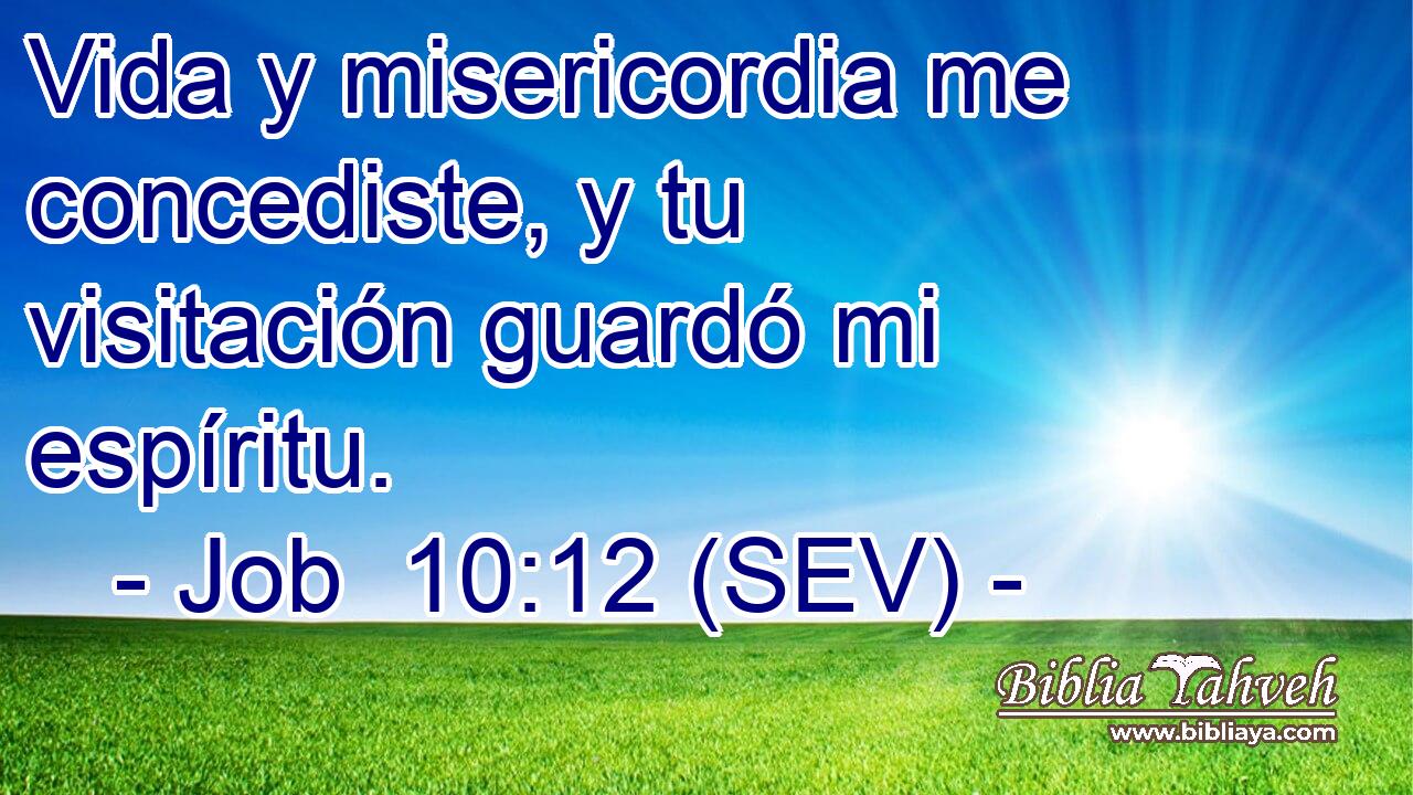 Vida y misericordia me concediste, y tu visitación guardó mi espíritu.