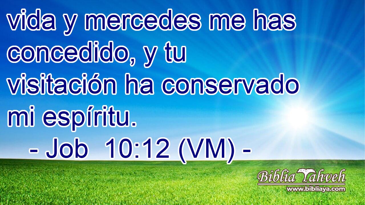  vida y mercedes me has concedido, y tu visitación ha conservado mi espíritu. 
