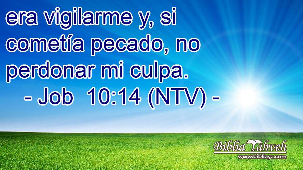 era vigilarme y, si cometía pecado, no perdonar mi culpa.