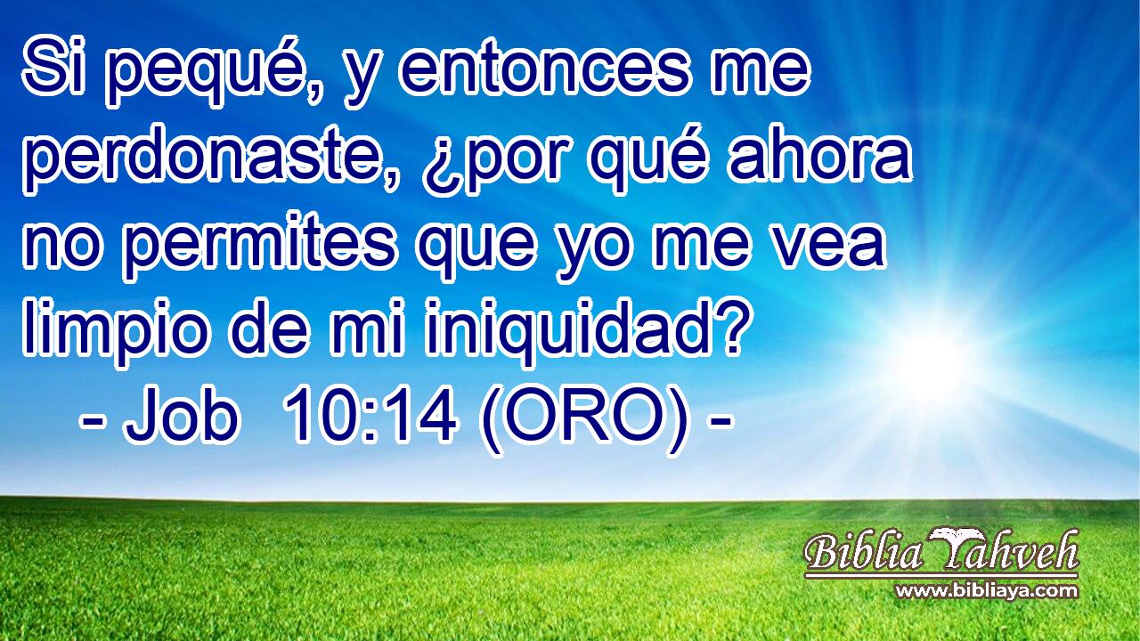  Si pequé, y entonces me perdonaste, ¿por qué ahora no permites que yo me vea limpio de mi iniquidad? 