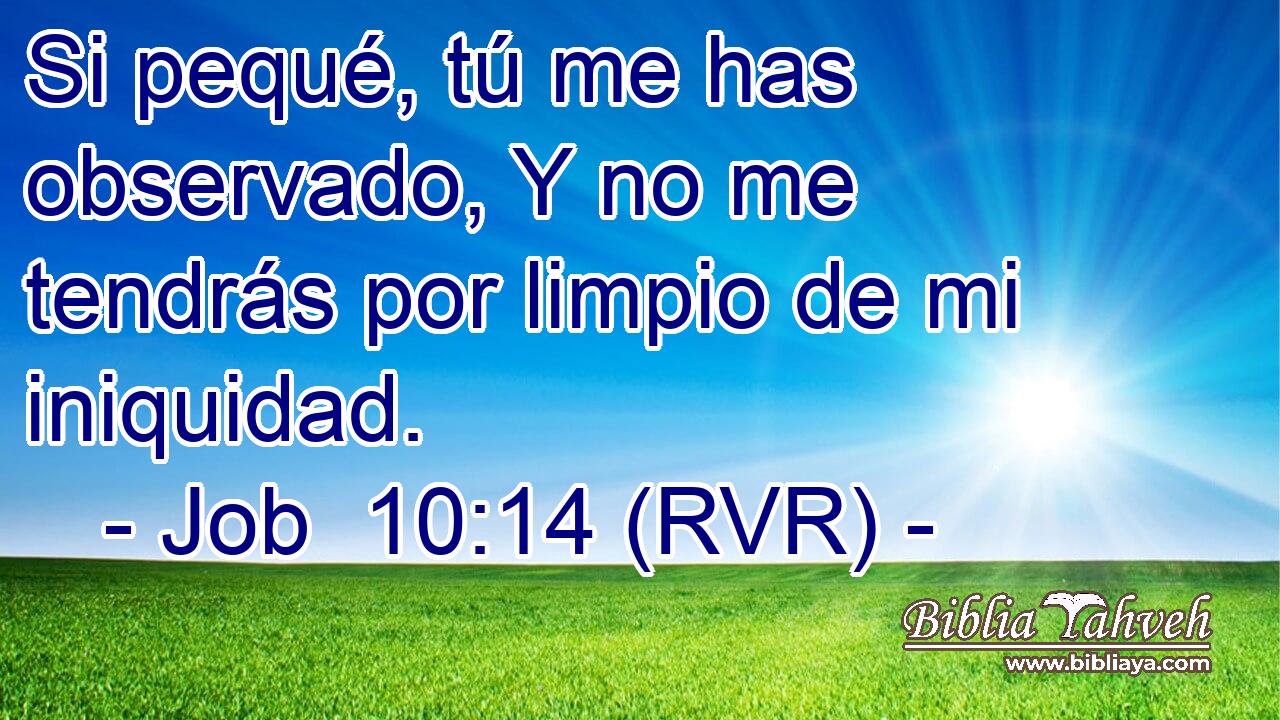 Si pequé, tú me has observado, Y no me tendrás por limpio de mi iniquidad.