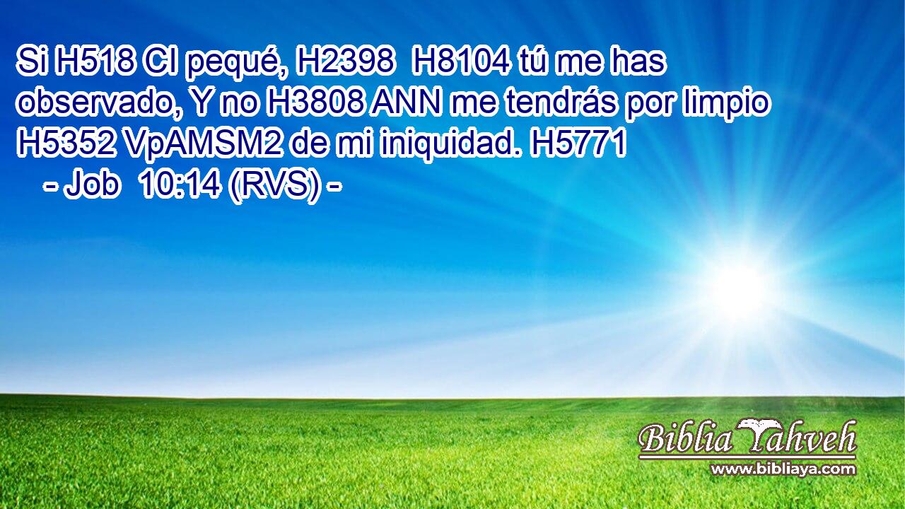 Si H518 CI pequé, H2398  H8104 tú me has observado, Y no H3808 ANN me tendrás por limpio H5352 VpAMSM2 de mi iniquidad. H5771  