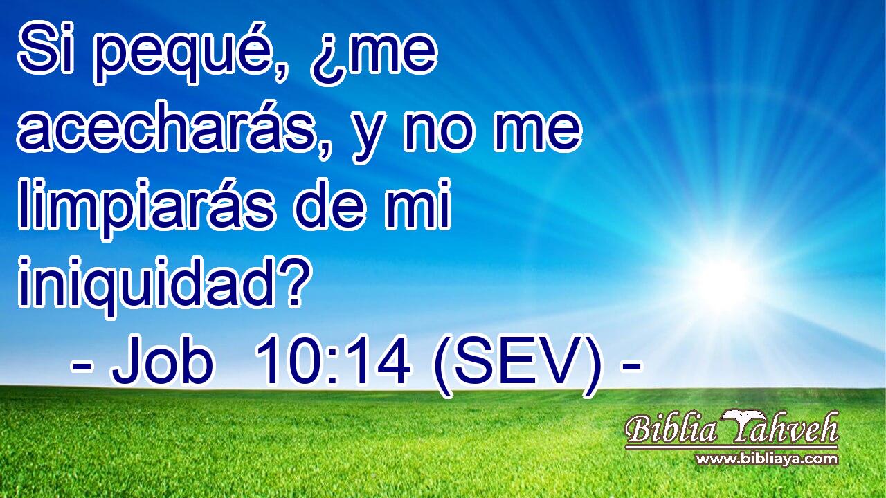 Si pequé, ¿me acecharás, y no me limpiarás de mi iniquidad?