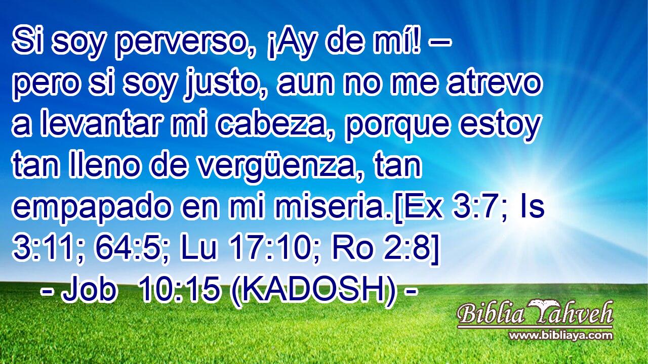  Si soy perverso, ¡Ay de mí! – pero si soy justo, aun no me atrevo a levantar mi cabeza, porque estoy tan lleno de vergüenza, tan empapado en mi miseria.[Ex 3:7; Is 3:11; 64:5; Lu 17:10; Ro 2:8] 
