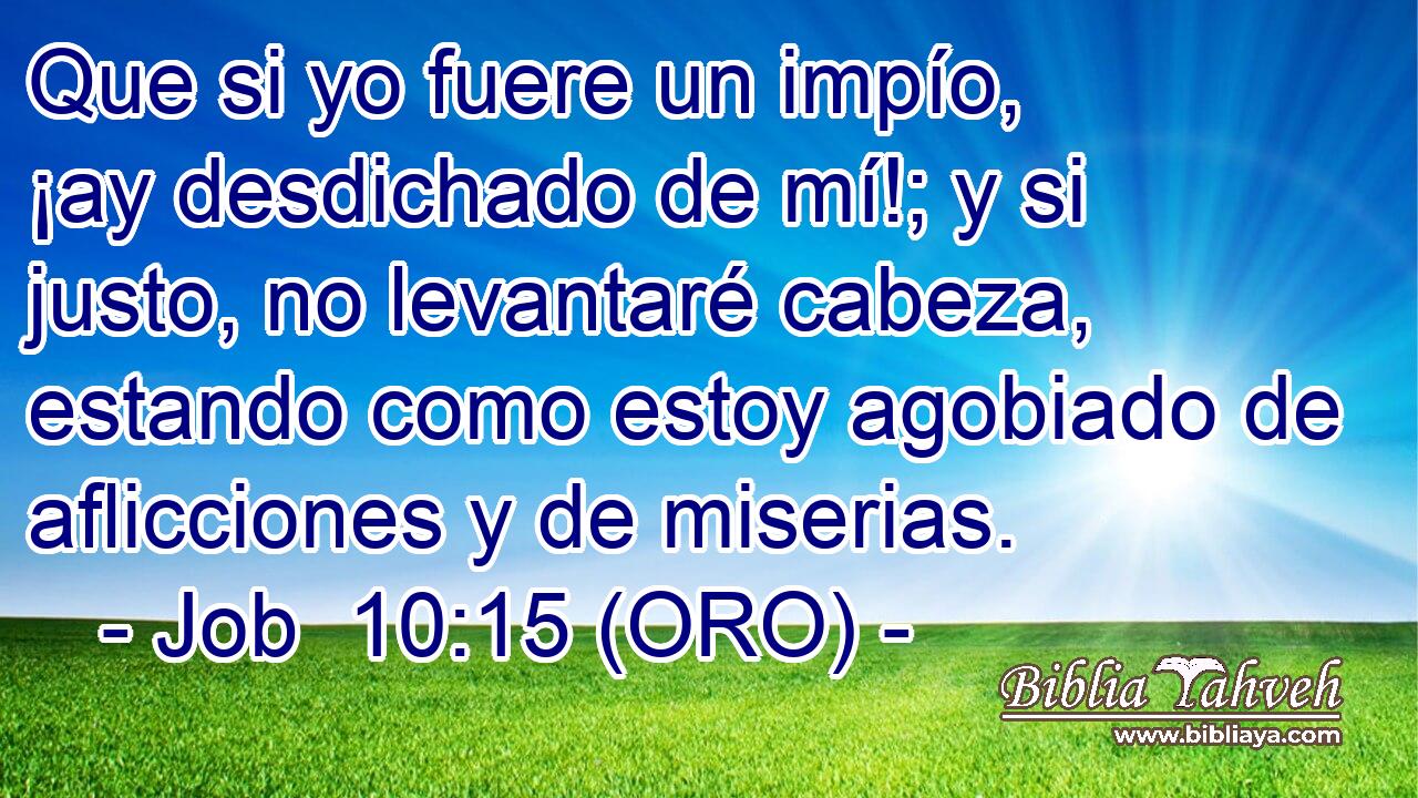  Que si yo fuere un impío, ¡ay desdichado de mí!; y si justo, no levantaré cabeza, estando como estoy agobiado de aflicciones y de miserias. 