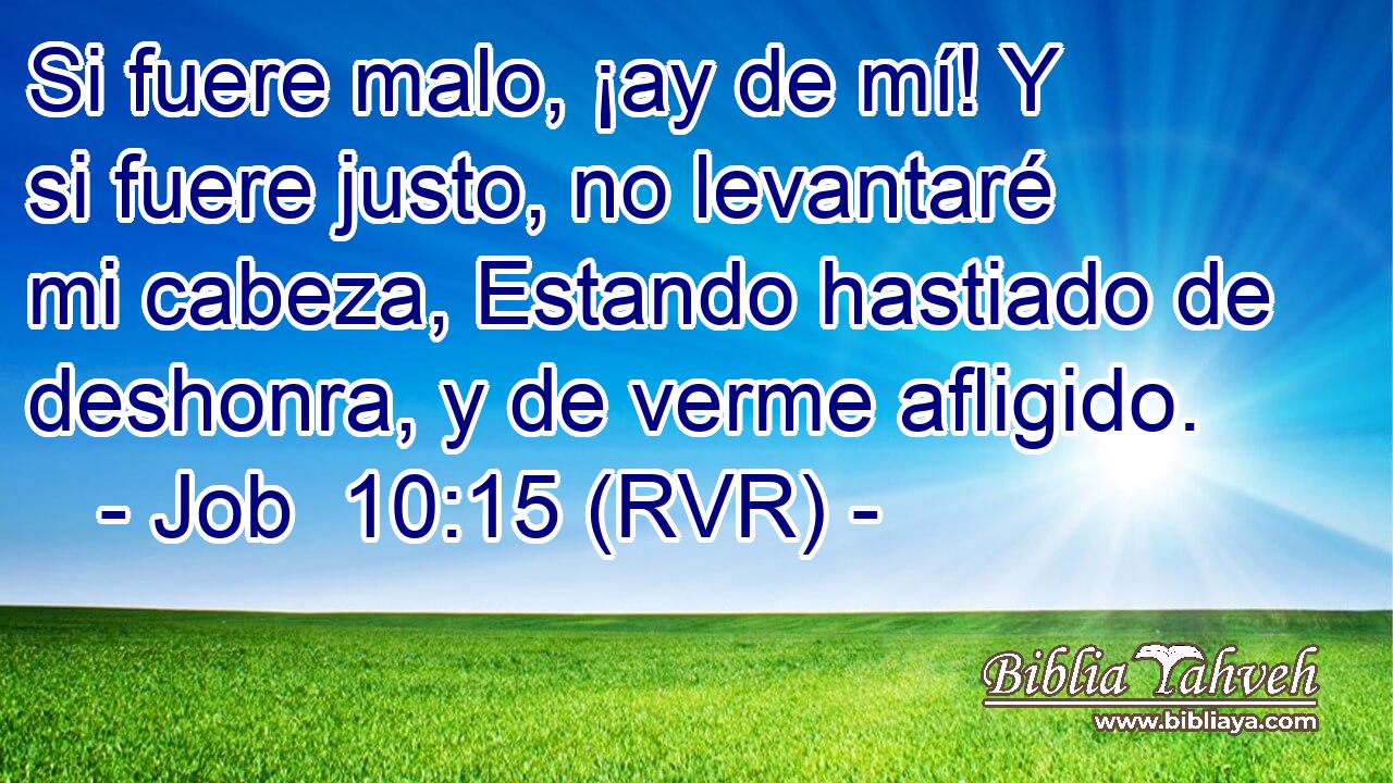 Si fuere malo, ¡ay de mí! Y si fuere justo, no levantaré mi cabeza, Estando hastiado de deshonra, y de verme afligido.