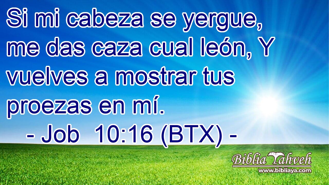 Si mi cabeza se yergue, me das caza cual león, Y vuelves a mostrar tus proezas en mí.