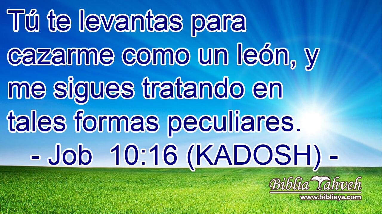  Tú te levantas para cazarme como un león, y me sigues tratando en tales formas peculiares. 