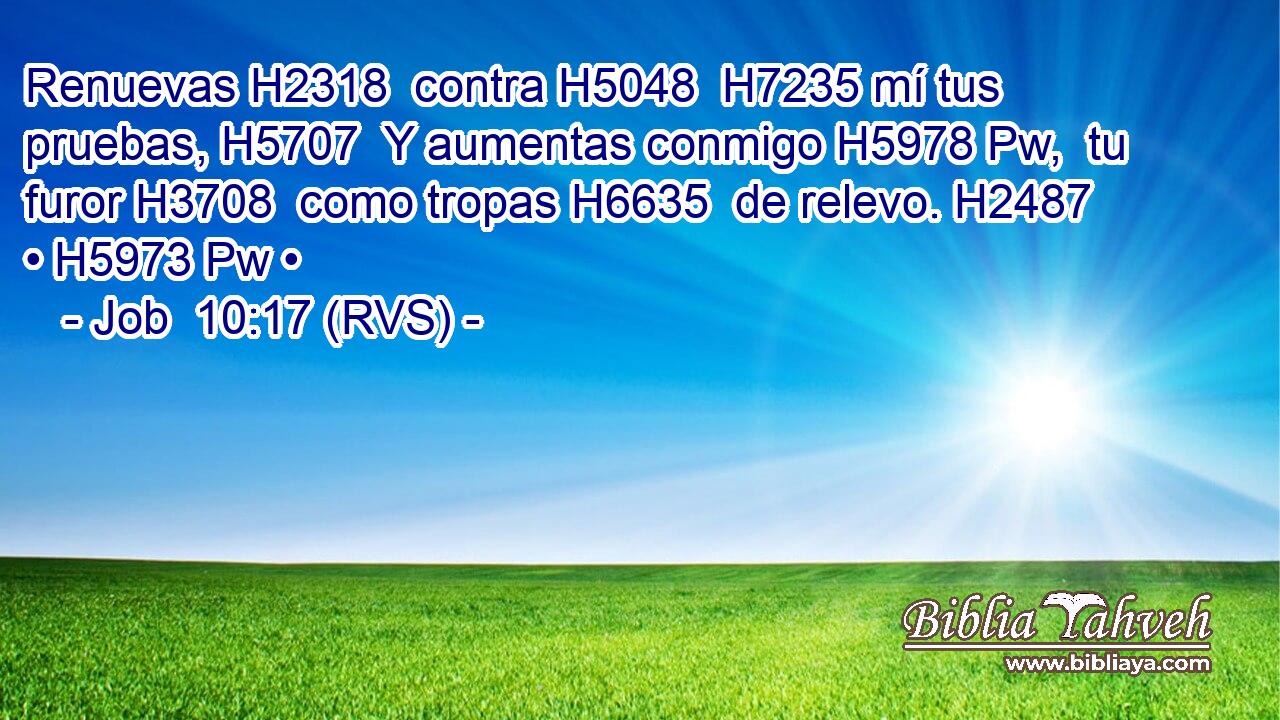 Renuevas H2318  contra H5048  H7235 mí tus pruebas, H5707  Y aumentas conmigo H5978 Pw,  tu furor H3708  como tropas H6635  de relevo. H2487  • H5973 Pw • 
