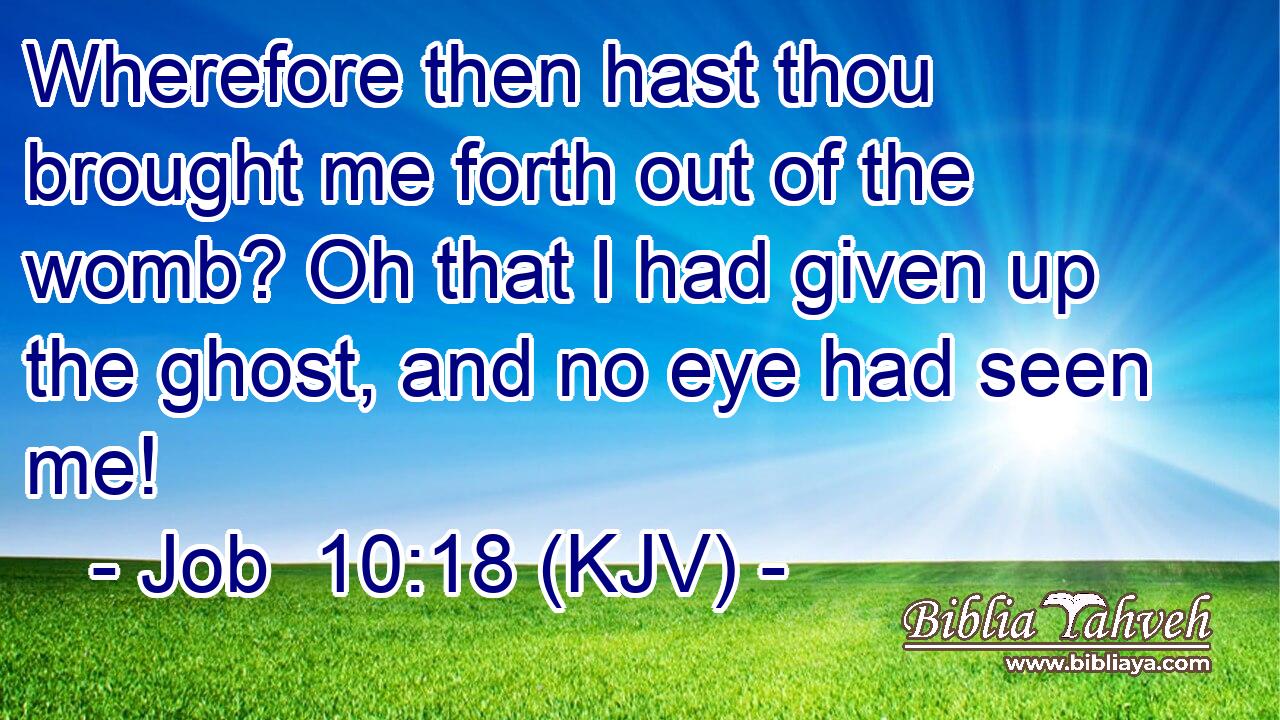 Wherefore then hast thou brought me forth out of the womb? Oh that I had given up the ghost, and no eye had seen me!