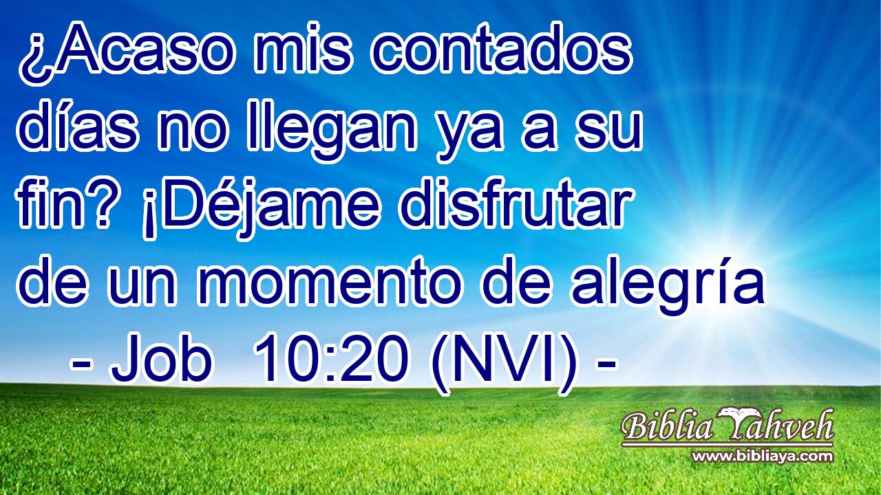  ¿Acaso mis contados días no llegan ya a su fin? ¡Déjame disfrutar de un momento de alegría 