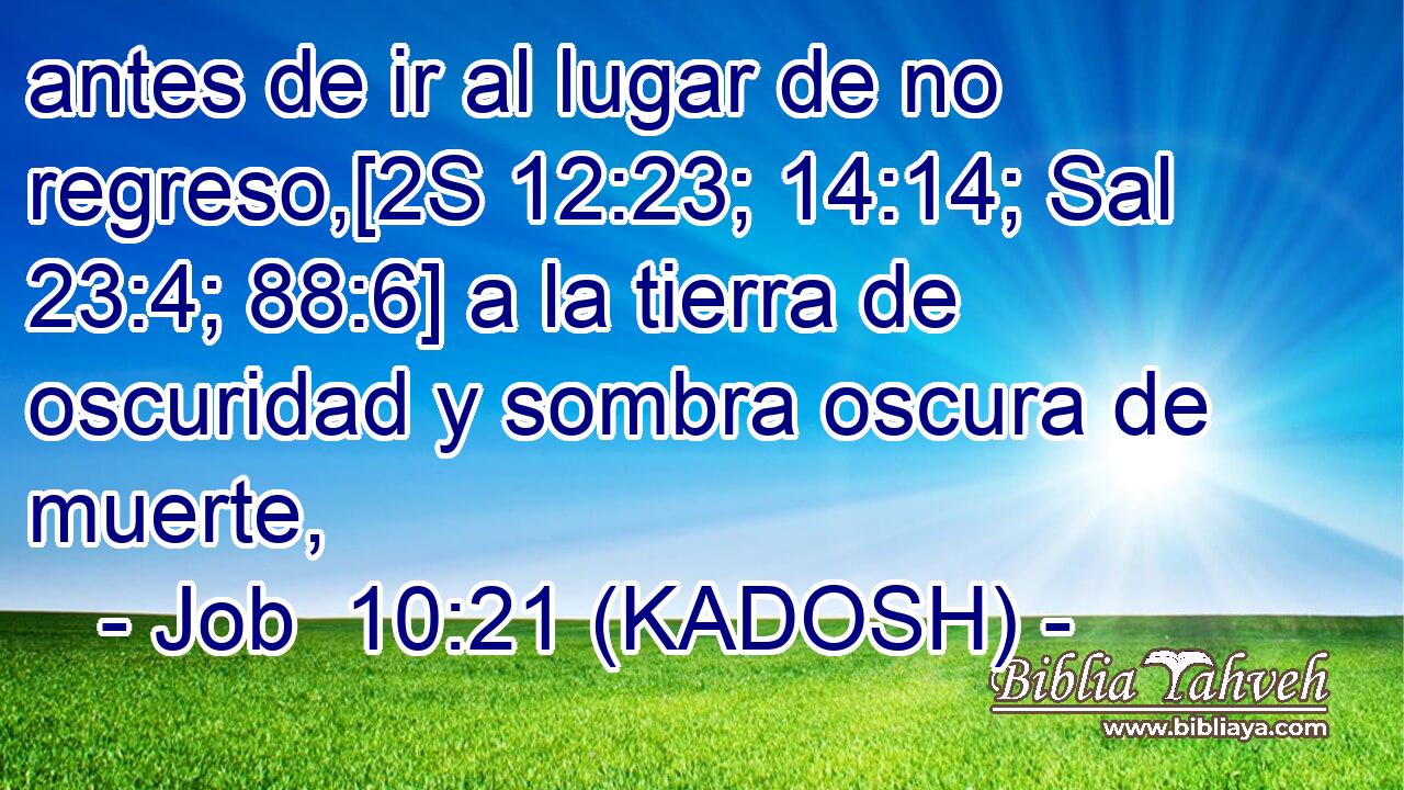  antes de ir al lugar de no regreso,[2S 12:23; 14:14; Sal 23:4; 88:6] a la tierra de oscuridad y sombra oscura de muerte, 