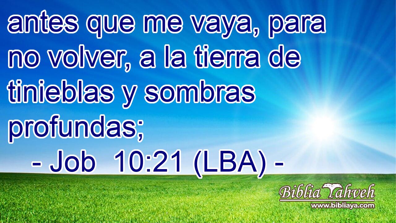 antes que me vaya, para no volver, a la tierra de tinieblas y sombras profundas;