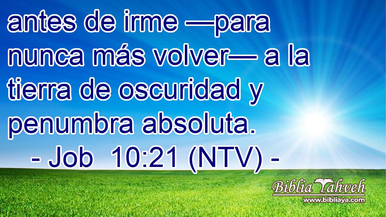 antes de irme —para nunca más volver— a la tierra de oscuridad y penumbra absoluta.