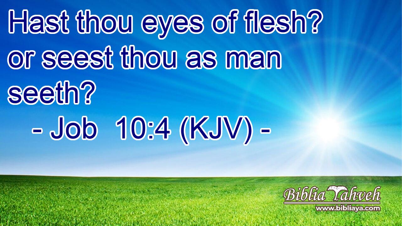 Hast thou eyes of flesh? or seest thou as man seeth?