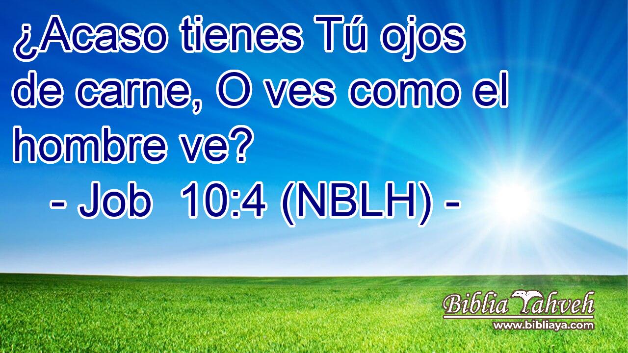  ¿Acaso tienes Tú ojos de carne, O ves como el hombre ve? 